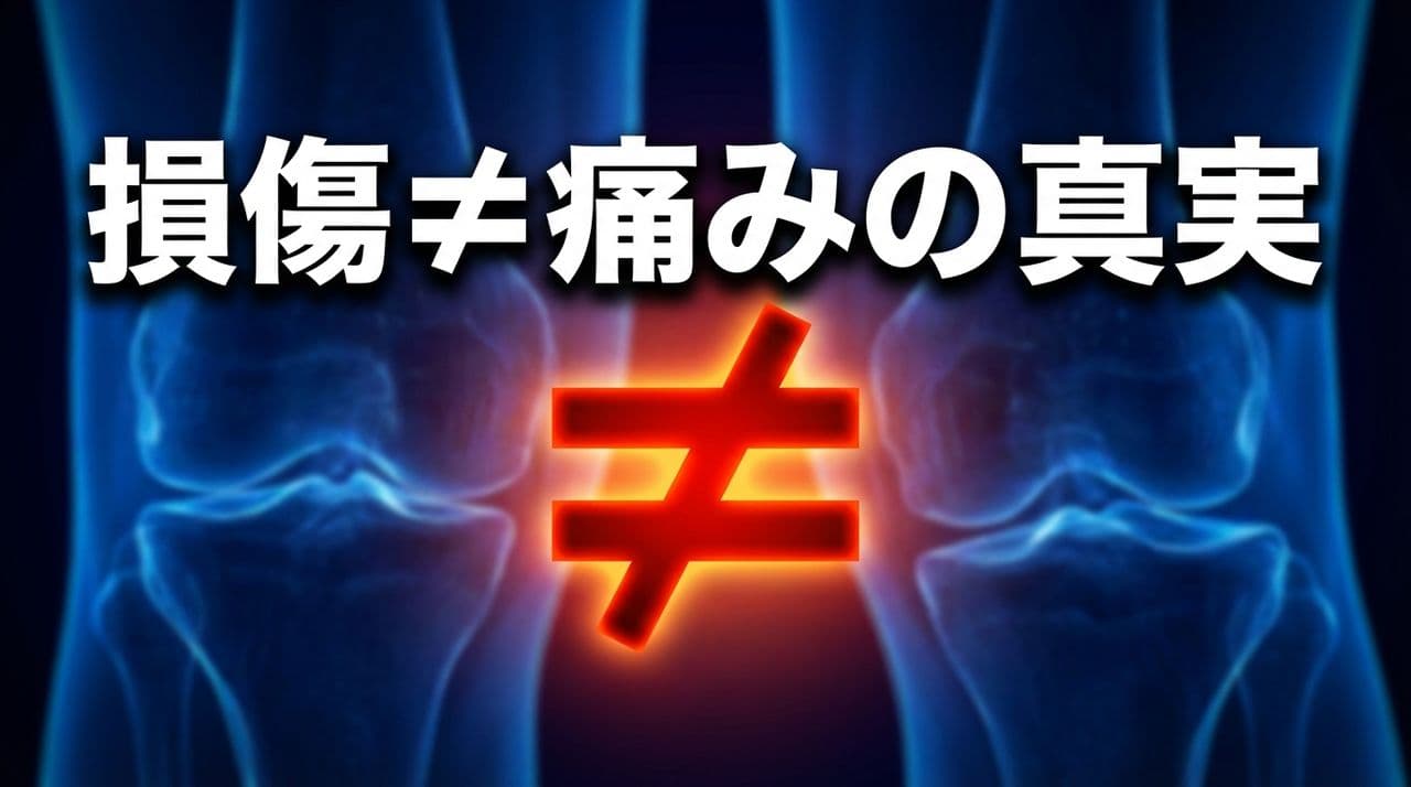 半月板が損傷していても痛くない人がいる理由